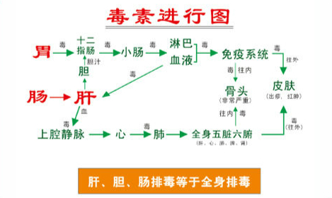 排毒.jpg